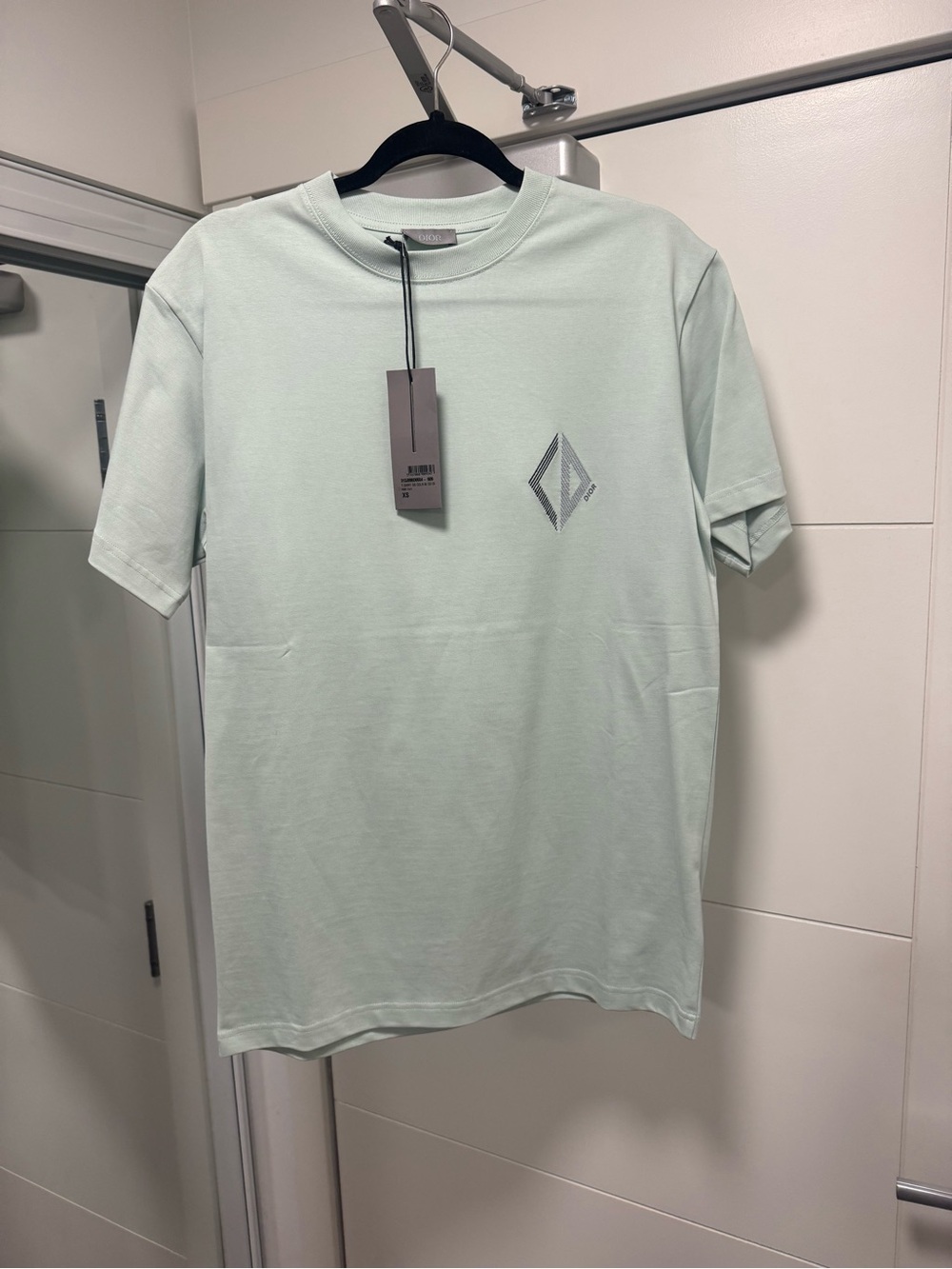 Dior Men's Mint Green Short-Sleeve Crewneck T-Shirt